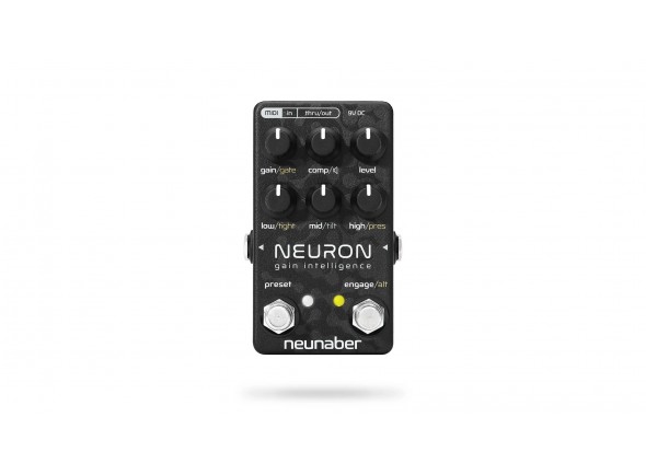 Neunaber Neuron Gain Intelligence Neunaber Neuron Gain Intelligence